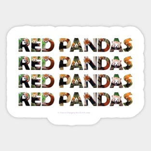 RED PANDA RED PANDA RED PANDA - wildlife oil painting word art Sticker